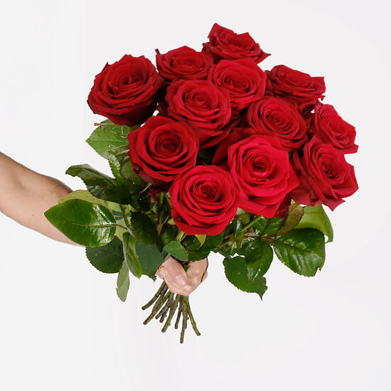 12 large red roses