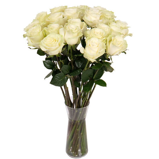 White roses from the florist