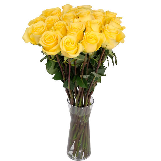 Yellow roses from the florist